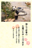 年賀状素材-パンダの写真年賀状