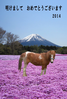 年賀状素材-馬と芝桜と富士